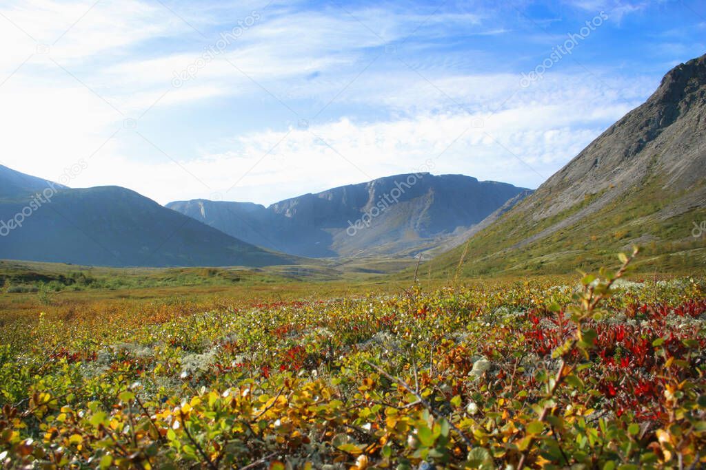 Mountain tundra, Hibiny mountains above the Arctic circle, Kola peninsula, Murmansk region, Russia