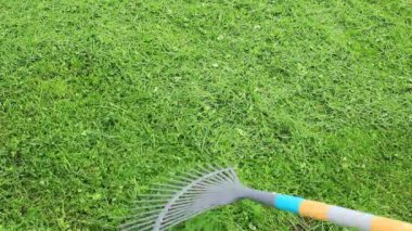 Bahçede çim biçerek biçilen çimleri biçmek. Mevsimlik iş