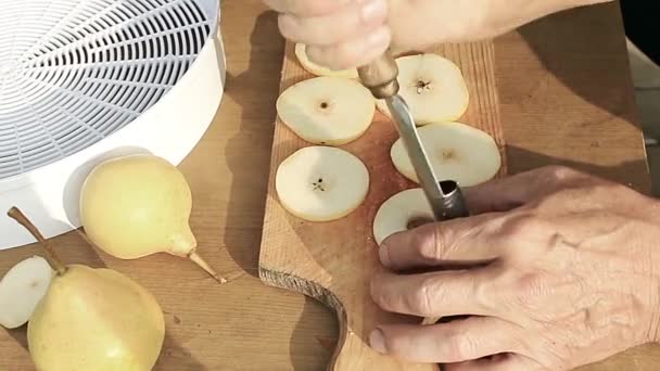 Tranchage Fruits Préparation Des Poires Pour Séchage Dans Séchoir Électrique — Video