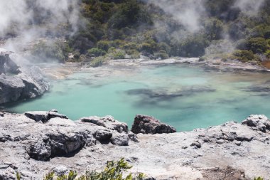 volcanic lake at Waimangu, New Zealand clipart