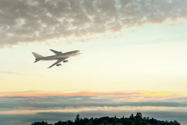 Aereo Che Vola Sopra Gli Alberi Sullo Sfondo Del Tramonto — Foto Stock