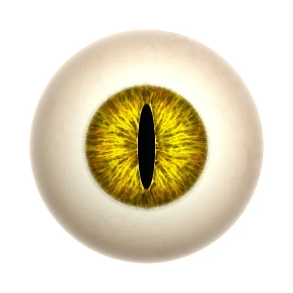 Beyaz Arka Plan Üzerinde Izole Sarı Kedi Göz — Stok fotoğraf