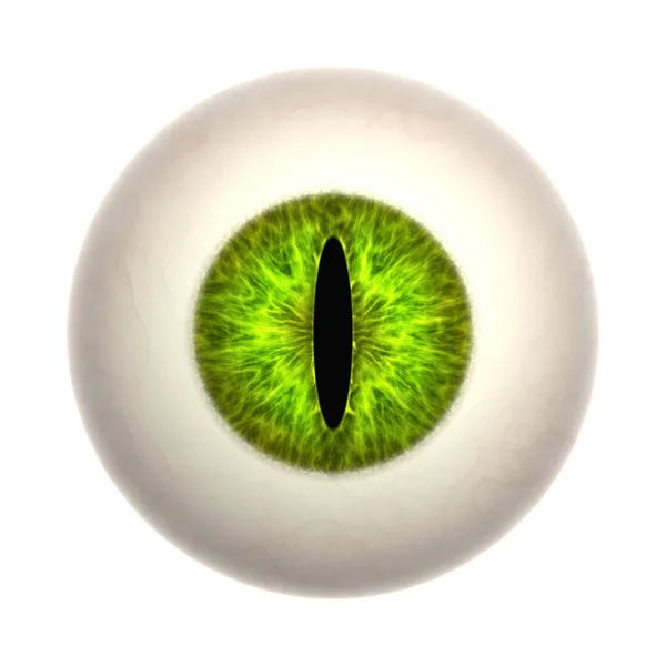 Πράσινο Cat Eye Απομονώνονται Λευκό Φόντο — Φωτογραφία Αρχείου