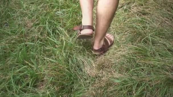 Αργή Κίνηση Των Περπάτημα Άνθρωπος Στο Πράσινο Γρασίδι — Αρχείο Βίντεο