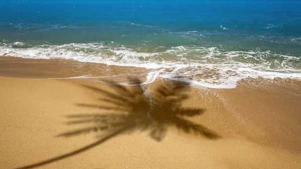 Praia Vazia Com Sombra Palmeira — Fotografia de Stock