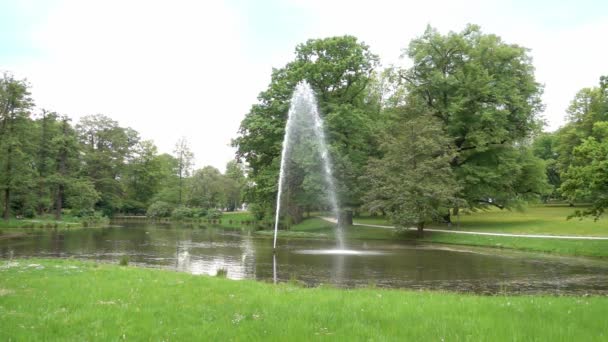 Câmera Lenta Fonte Centro Lago Parque — Vídeo de Stock