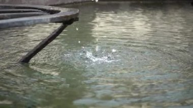 daireler ile damla su yüzeyine düşen