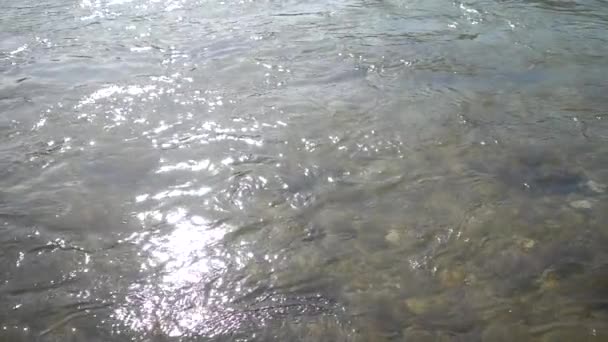 昼間にさざ波が立っている水面のスローモーション — ストック動画