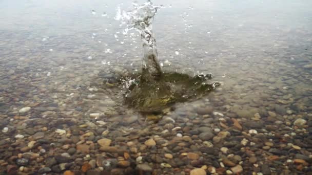 Slowmotion Sten Som Faller Vattnet Med Stänk — Stockvideo