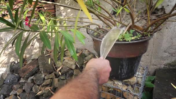 Slow Motion Van Man Bewateren Van Planten Pot — Stockvideo
