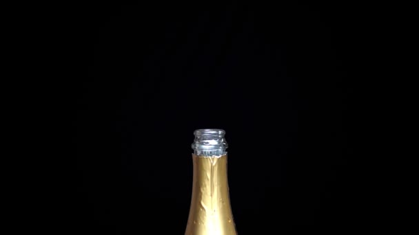 Fles Champagne Dalende Kurk Zwarte Achtergrond — Stockvideo