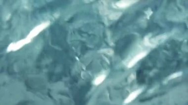 gündüz sakin ripply su yüzeyinde