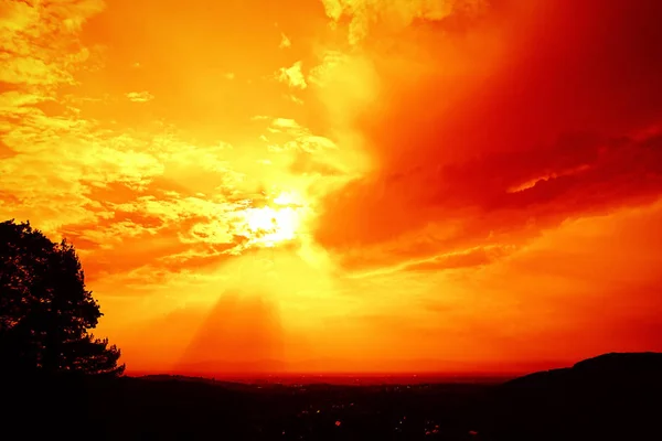 Baumsilhouette Auf Orangefarbenem Sonnenuntergang Hintergrund — Stockfoto