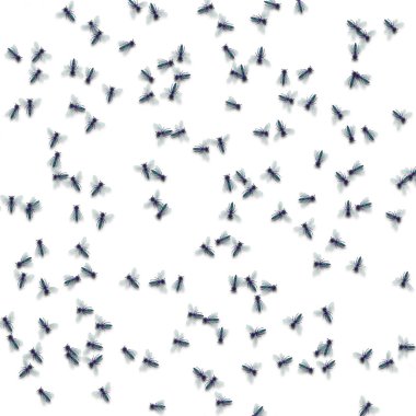 seamless pattern with flies on white background clipart