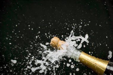 şişe şampanya Cork sıçraması ile haşhaş