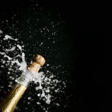 şişe şampanya Cork sıçraması ile haşhaş