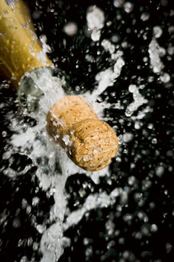 şişe şampanya Cork sıçraması ile haşhaş