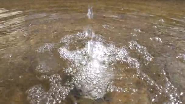 Queda Gotas Com Círculos Superfície Água — Vídeo de Stock