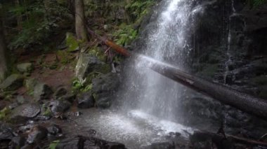 ağır çekim Zweribach şelale, Almanya 
