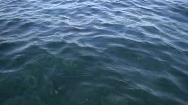 gündüz dalgaları ile Ripply su yüzeyi