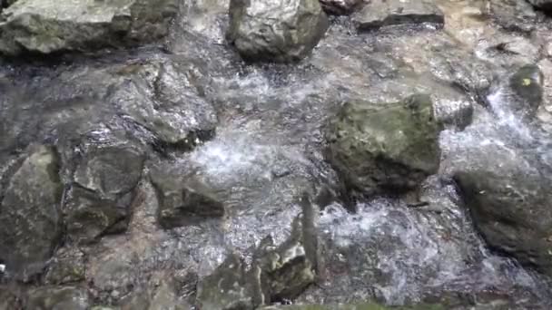 山间河流在石头之间的缓慢运动 — 图库视频影像