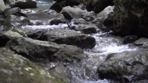 Cámara Lenta Corriente Del Río Montaña Entre Piedras — Vídeo de stock