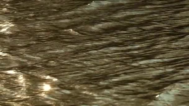 Повільний Рух Стиглої Поверхні Води Хвилями Вдень — стокове відео