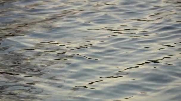 Cámara Lenta Superficie Agua Ondulada Con Olas Durante Día — Vídeo de stock