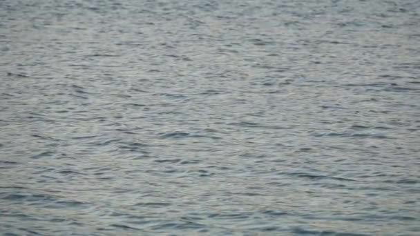 ralenti de la surface de l'eau avec des vagues le jour 