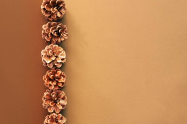 Çam kozalakları hattı ile bir Noel dekorasyon arka plan