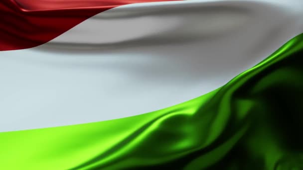 Bandera Húngara Fondo Texturizado — Vídeos de Stock