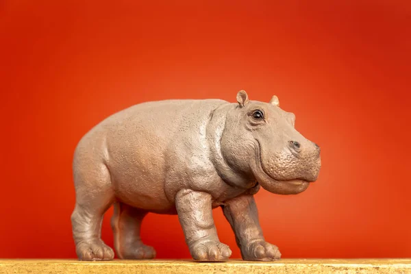 Hippopotamus Figure Red Background — Stock Photo, Image