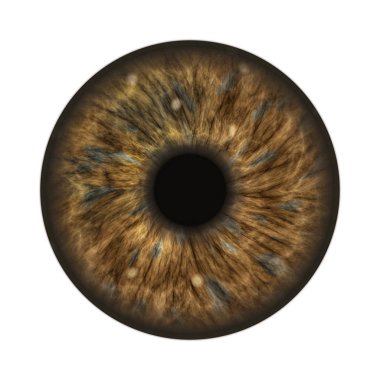 koyu kahverengi insan gözü 3D çizimi