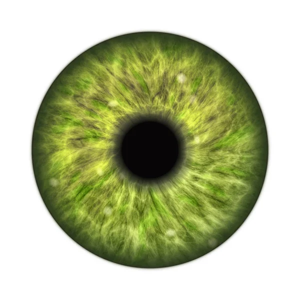 Ilustración Del Ojo Humano Verde Oscuro —  Fotos de Stock