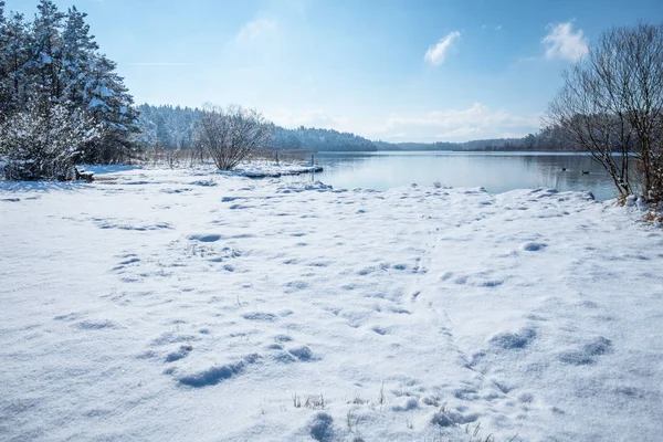 Pohled Zimní Scenérie Jezera Osterseen Bavorsku Německo — Stock fotografie