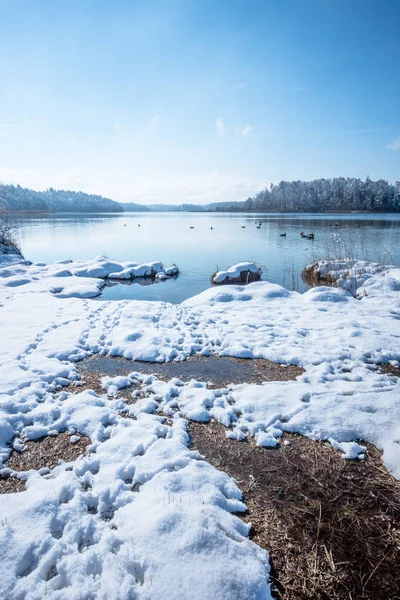 Pohled Zimní Scenérie Jezera Osterseen Bavorsku Německo — Stock fotografie