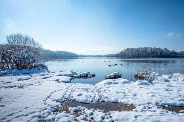 Пейзаж Зимний Вид Озеро Osterseen Баварии Германия — стоковое фото