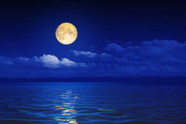 wide ocean waves horizon moon night background 3D illustration