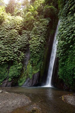 şelale Bali, Endonezya görünümünü