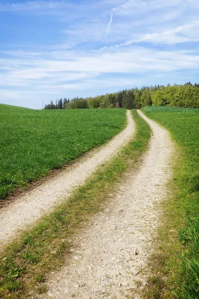 Pad Groene Weide Natuur Landschap Landschap — Stockfoto