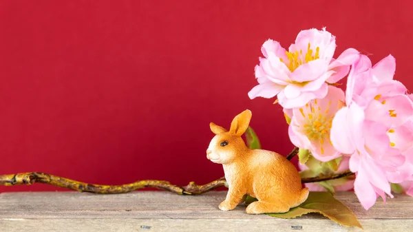 复活节装饰兔子和樱花的图片 — 图库照片