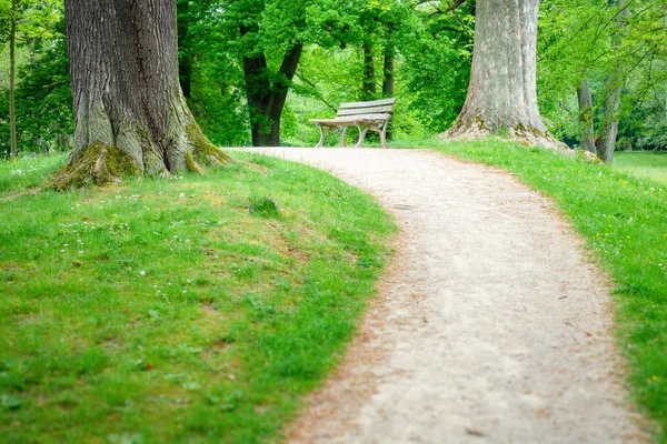 Uma Imagem Banco Solitário Verde — Fotografia de Stock