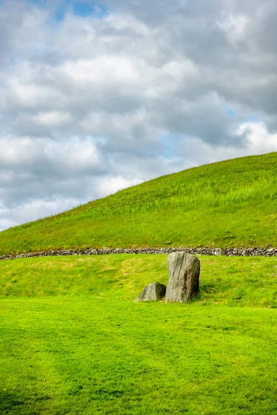 Green Grass Meadow Background Ireland — Stock Photo, Image