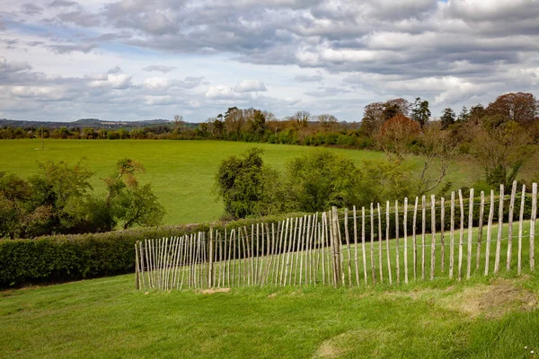 Image Green Grass Meadow Fence Ireland — Stock Photo, Image