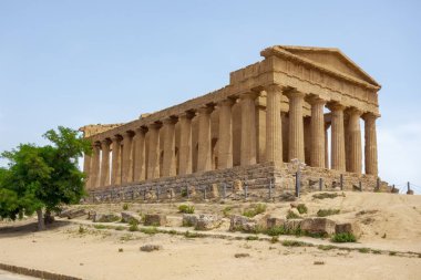 Selinunte Segesta Sicilya'daki Akropolis harabesinin bir görüntüsü