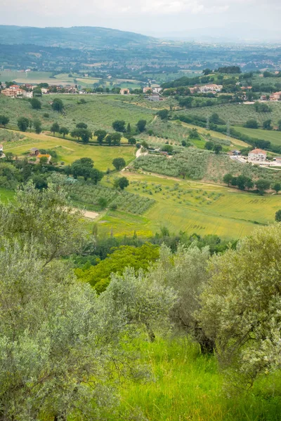 Vista Panorâmica Paisagem Natural Marche Itália — Fotografia de Stock