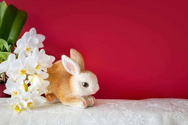 复活节装饰兔子和兰花的图片 — 图库照片