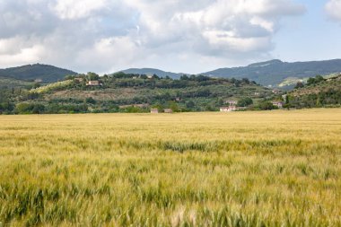 doğal görünümü doğa manzara: Marche, İtalya
