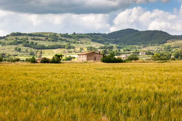意大利马尔切的自然景观景观 — 图库照片