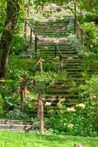 Uma Imagem Algumas Escadas Jardim Verde — Fotografia de Stock